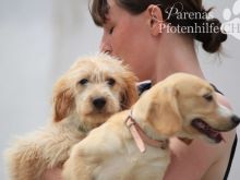 2015-05-24 12.53.46-1-1.jpg