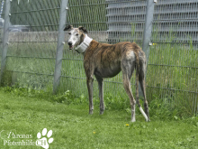 Foto 16.09.25, 17 46 53 (10).png