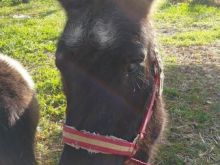 Foto 19.11.15, 13 00 45.jpg