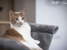 Fuel (13 von 13).jpg