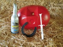 Korb-Ponys-Esel.jpg