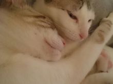 Merengue & Samba (4).JPG