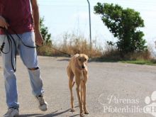 2015-05-25 10.37.11.jpg