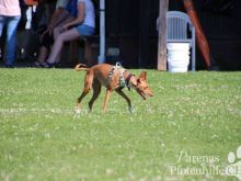 IMG_3534.JPG
