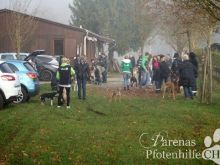 Bild1.jpg