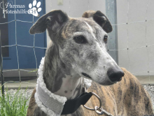 Foto 16.09.25, 17 46 53 (29).png