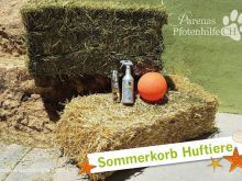 Sommerkörbe-174.jpg