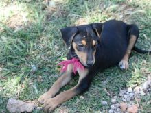 2014-04-30 16.27.01 (Large).jpg