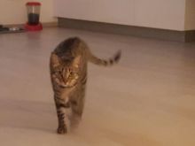 Aloe (neu Luna) & Krokus (neu Lucy) (10).JPG