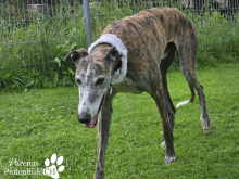 Foto 16.09.25, 17 46 53 (2).png