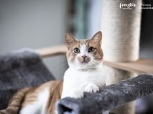 Fuel (12 von 13).jpg