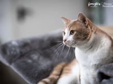 Fuel (10 von 13).jpg