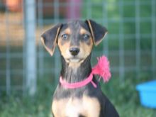 2014-05-06 18.41.29 (Large).jpg