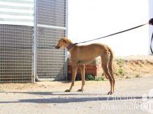 2015-05-25 10.38.06-2.jpg