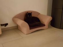 Aloe (neu Luna) & Krokus (neu Lucy) (7).JPG