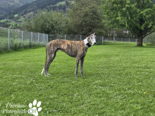 Foto 16.09.25, 17 46 53 (4) (1).png