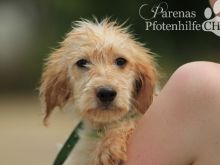 2015-05-24 12.42.53-1-1.jpg