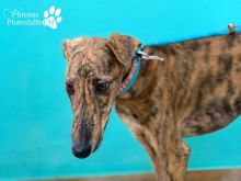 Wynio  13.10.26 (5).jpg