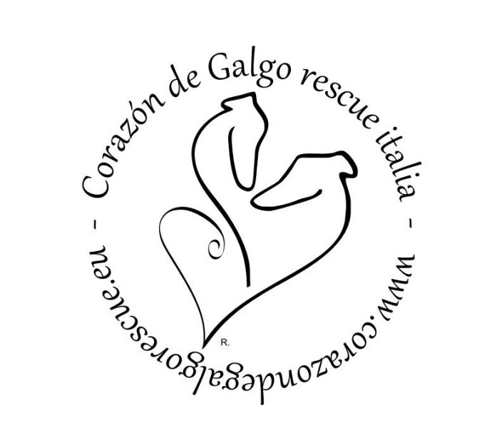 Corazon Galgo Rescue.JPG