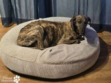 Foto 25.03.26, 20 48 51.jpeg