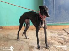 Photo_1760971945836 (1).jpg