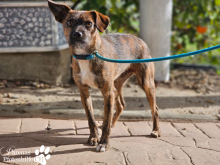 WhatsApp Image 2026-01-24 at 13.00.05(1).png