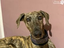 Foto 21.03.26, 08 51 49 (4).jpeg