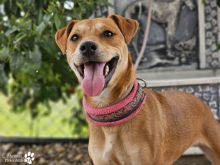Photo_1772806075218.jpg