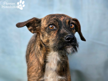 WhatsApp Image 2026-01-24 at 13.00.06-1.png