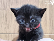 WhatsApp Image 2026-04-06 at 15.24.12(1)-1.png