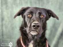 Foto 07.03.26, 10 57 28 (10).jpeg