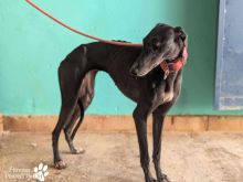 Photo_1760971942662 (2).jpg