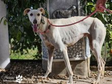 Photo_1769875841675 (1).jpg