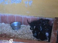 Photo_1773741454318 (1).jpg