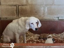 Photo_1773741455431 (1).jpg