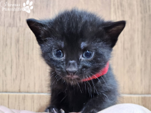 WhatsApp Image 2026-04-06 at 15.24.12-1.png