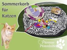 Katzenkorb.jpg