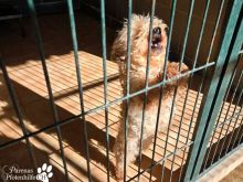 Photo_1773741454814 (1).jpg