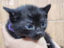 WhatsApp Image 2026-04-06 at 15.24.02(2)-1.png