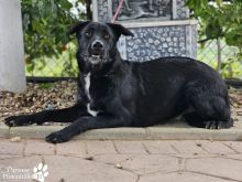 Foto 07.03.26, 10 57 28 (9).jpeg