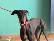 Photo_1760971941846 (1).jpg