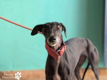 Photo_1760971943269 (1).jpg