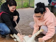 Photo_1770812133882 (1) (1).jpg