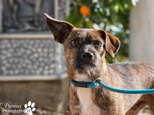 WhatsApp Image 2026-01-24 at 13.00.04.png