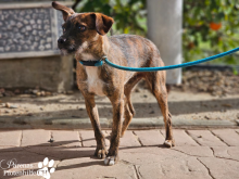 WhatsApp Image 2026-01-24 at 13.00.08(1).png