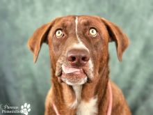 Foto 07.03.26, 10 57 44 (7).jpeg