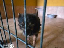 Photo_1776778743633 (1).jpg