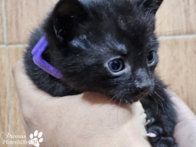 WhatsApp Image 2026-04-06 at 15.24.01(1).png