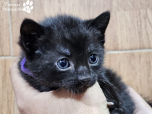 WhatsApp Image 2026-04-06 at 15.24.02-1.png