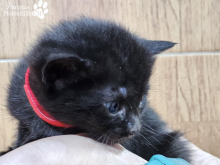 WhatsApp Image 2026-04-06 at 15.24.11(2).png